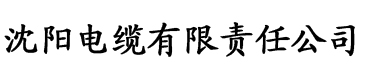 91香蕉视频污.电缆厂logo